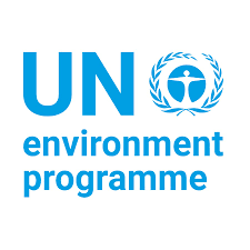 What is the UN Environment Programme Clean ?seas